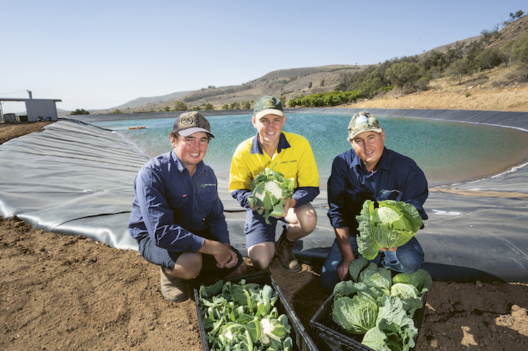 About Coles Quality Academy | Coles Quality Academy
